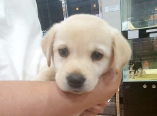 포토리뷰