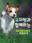 RUN배너