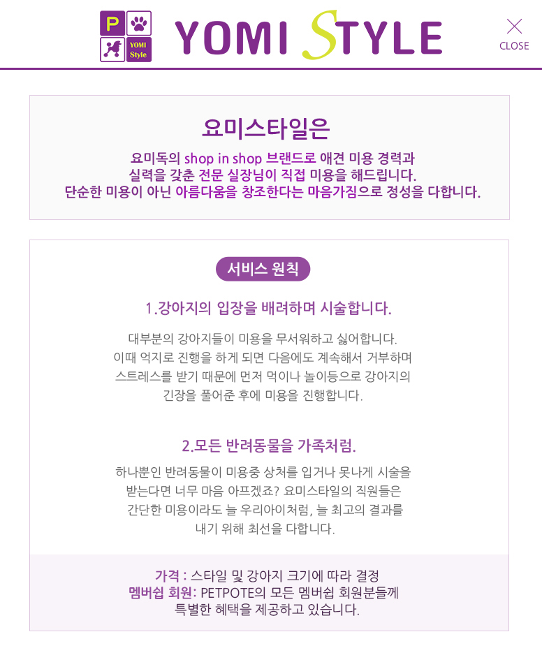 팝업