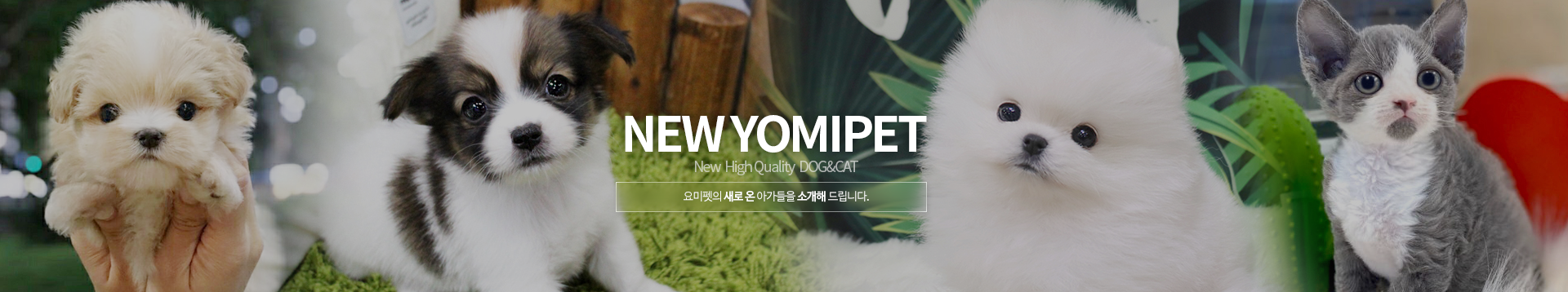 NEW_PAGE상단이미지