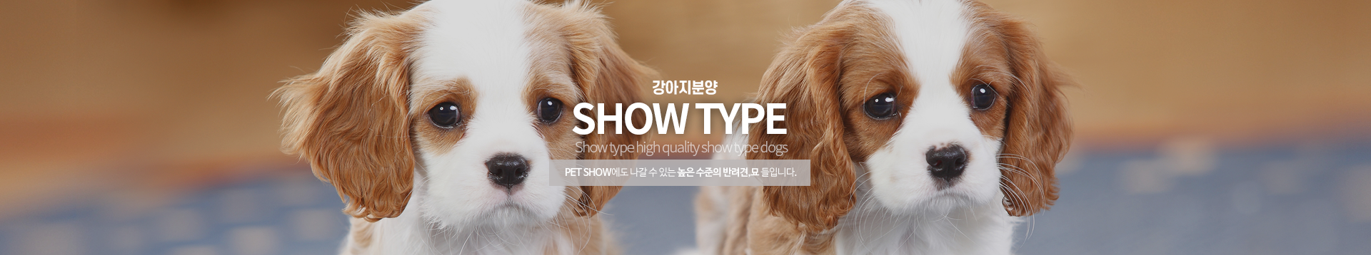 SHOW_PAGE상단이미지