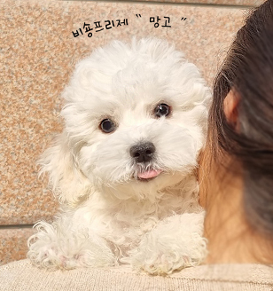 이미지