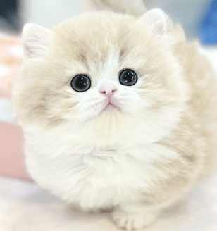 메인이미지슬라이드